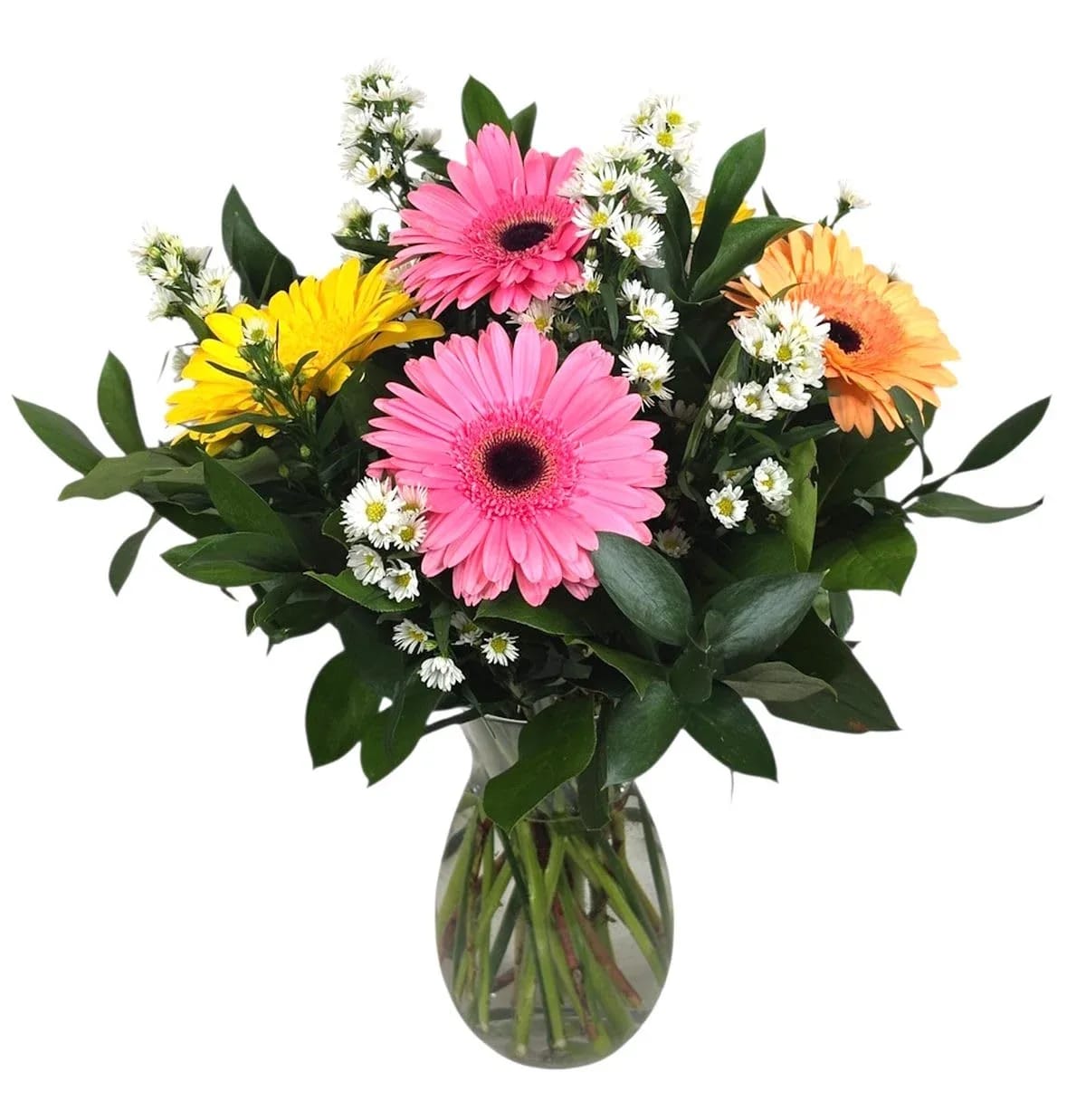 Fiesta Gerbers (Colors May Vary) Flower Bouquet