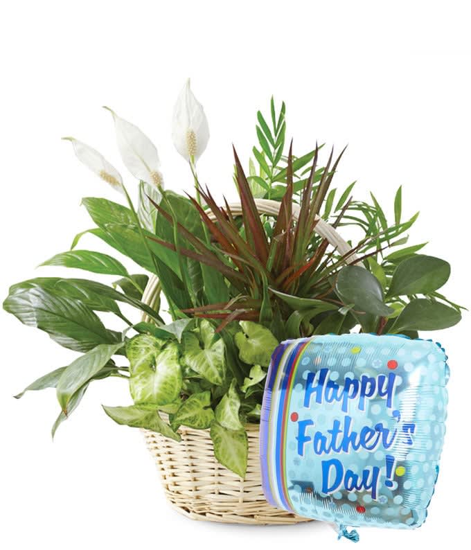 Watch Me Grow Flower Bouquet