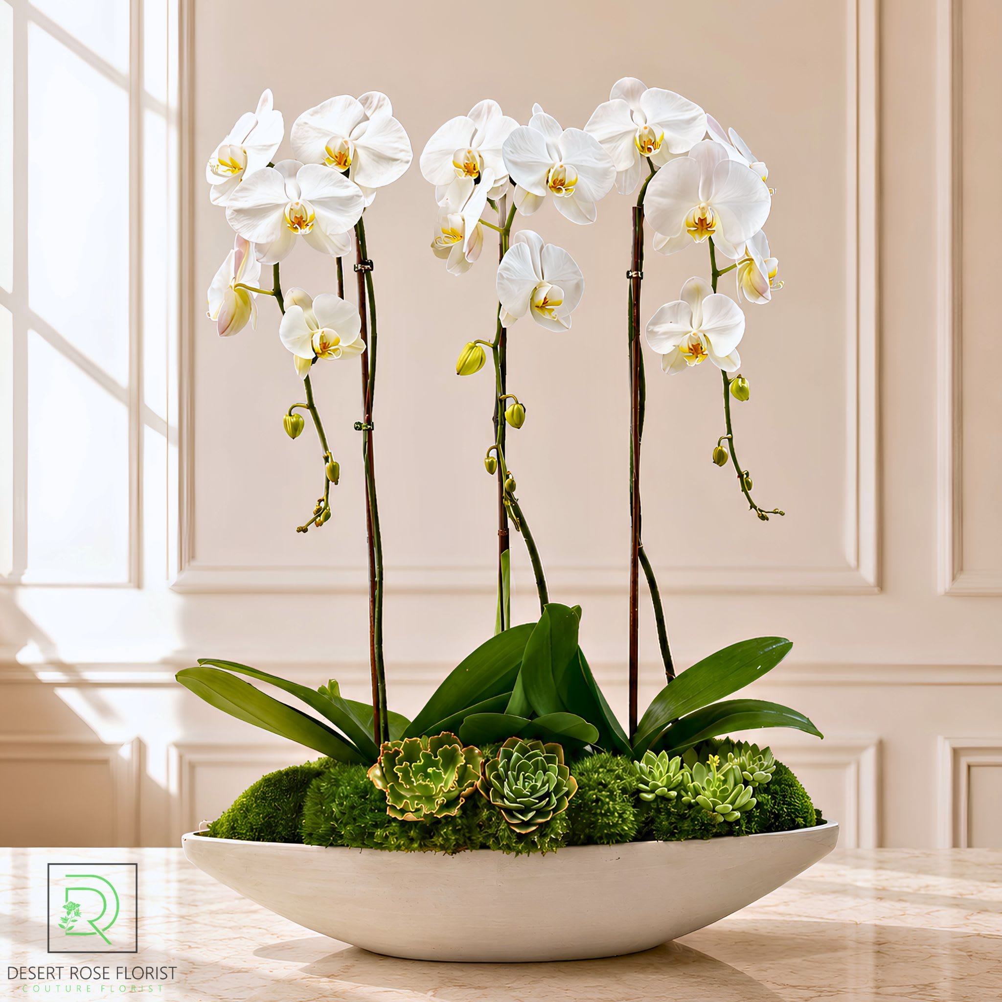 The Orchid Collection