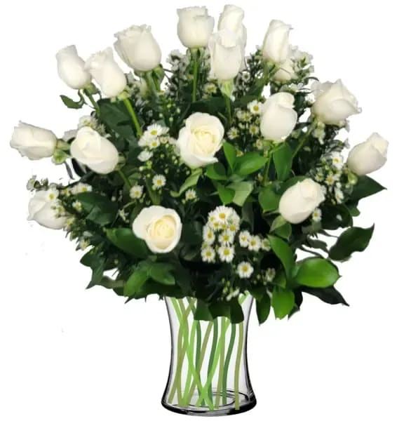 2 Dz  White premium Roses