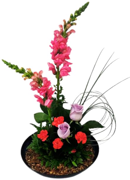 Simplistic Joy IF-5045 Flower Bouquet