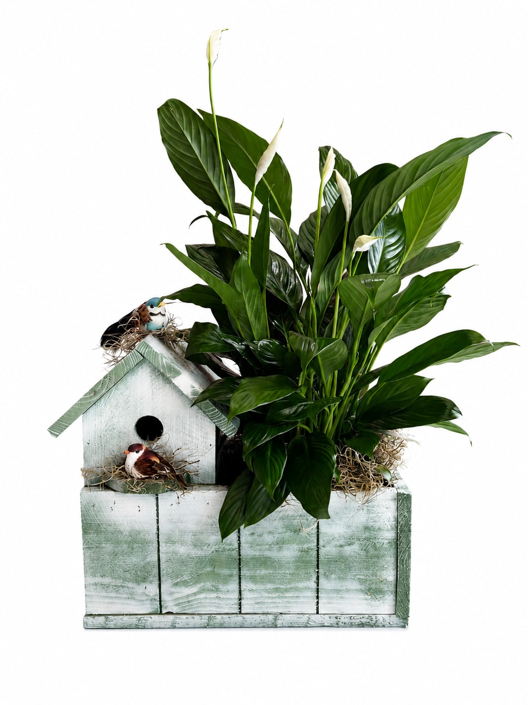 Peace Lily Birdhouse