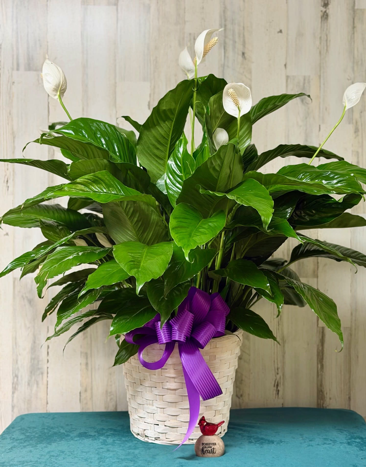 10" Peace Lily Flower Bouquet