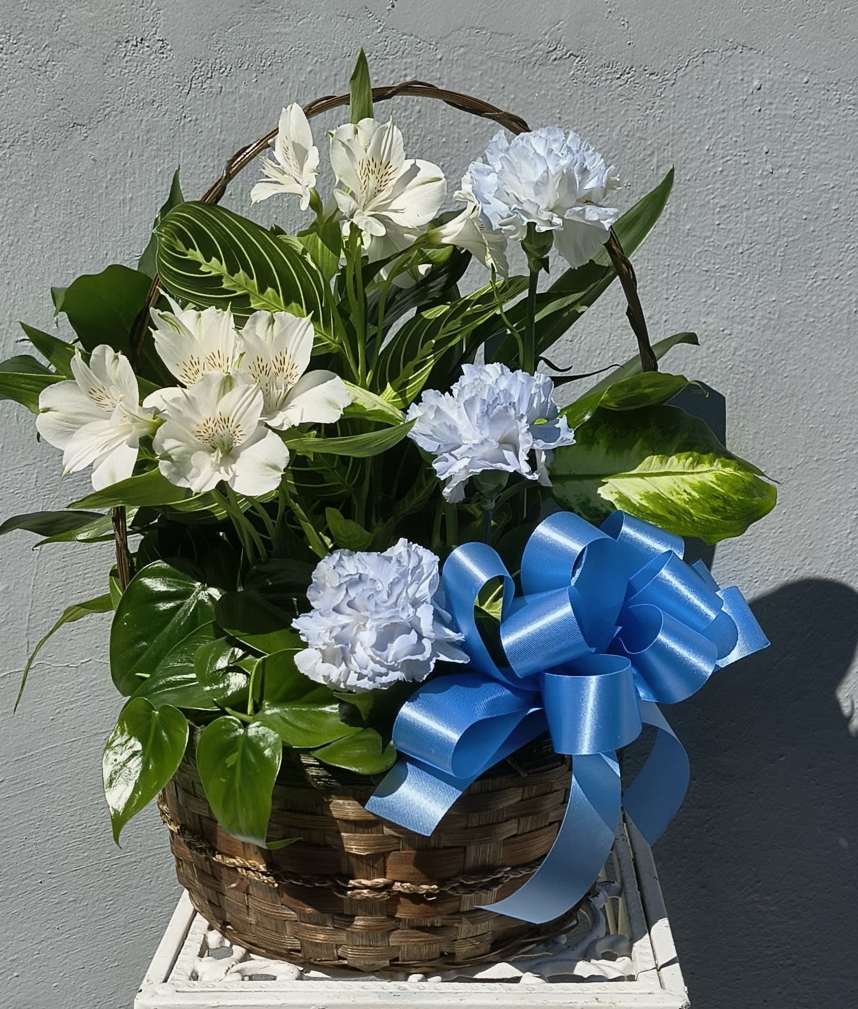 Blue and White Dish Garden Basket