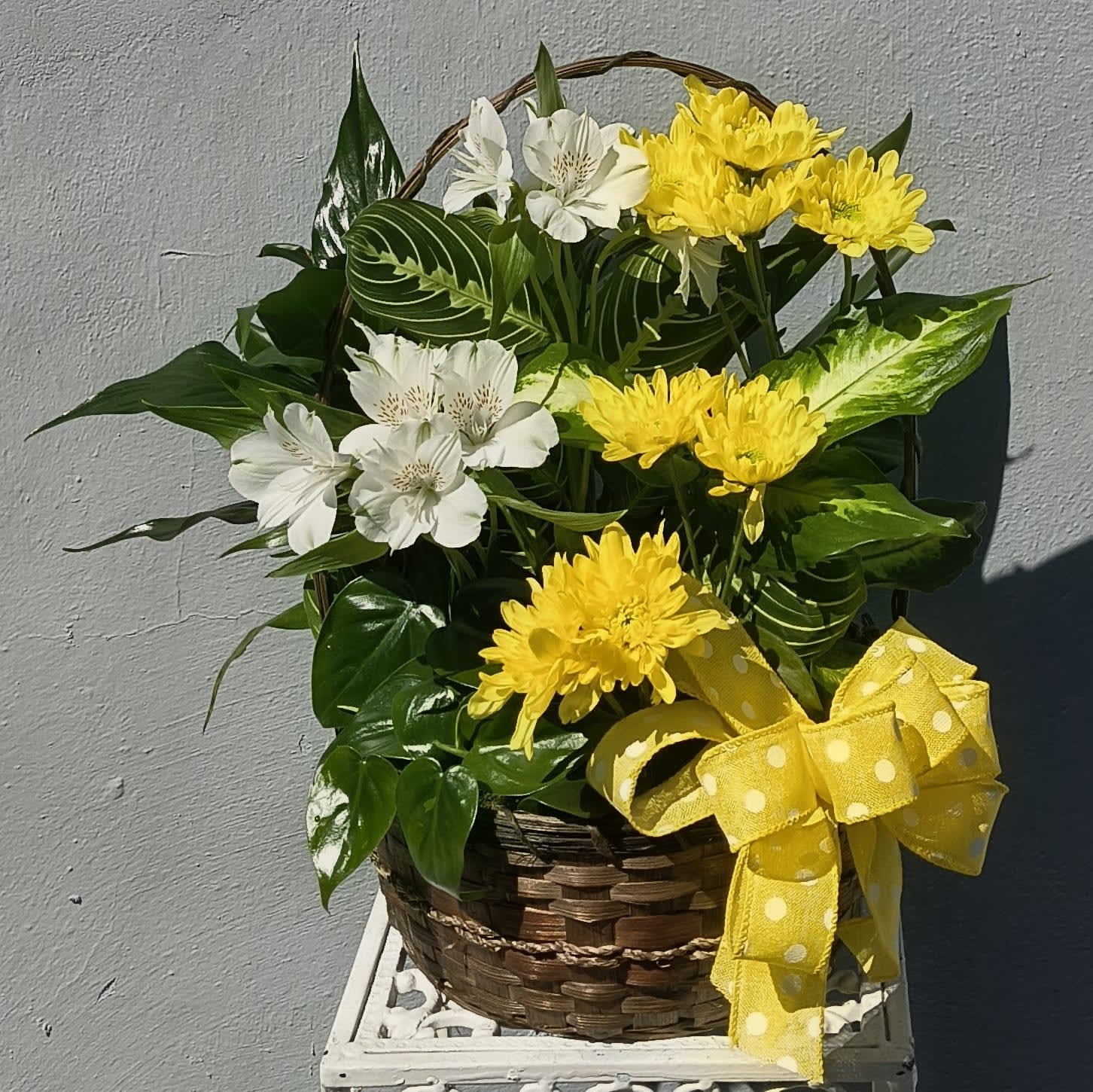 Yellow and White Dish Garden Basket