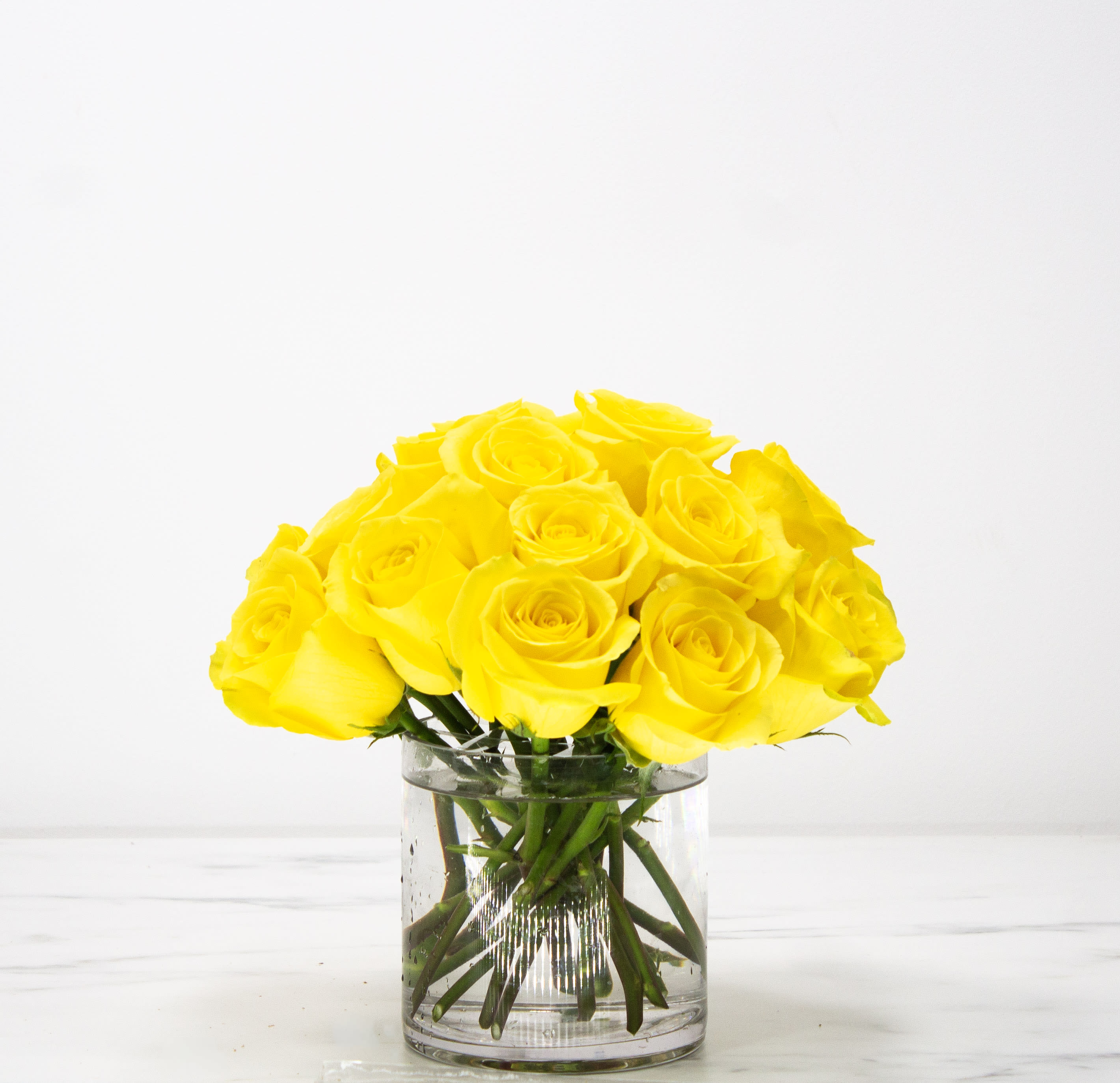 Simply Roses