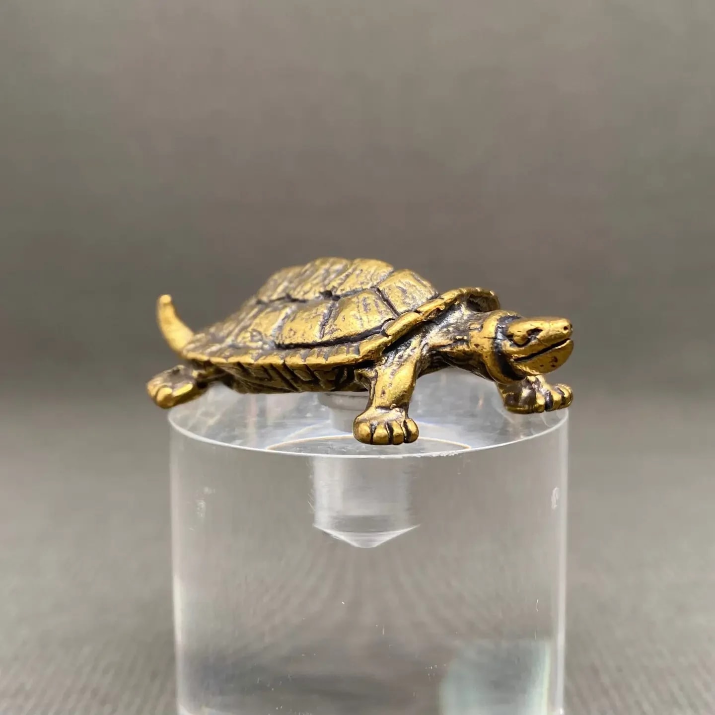Brass Turtle 2 Flower Bouquet