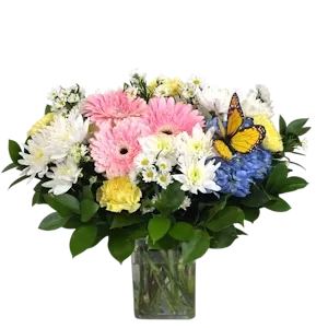 Cotton Candy