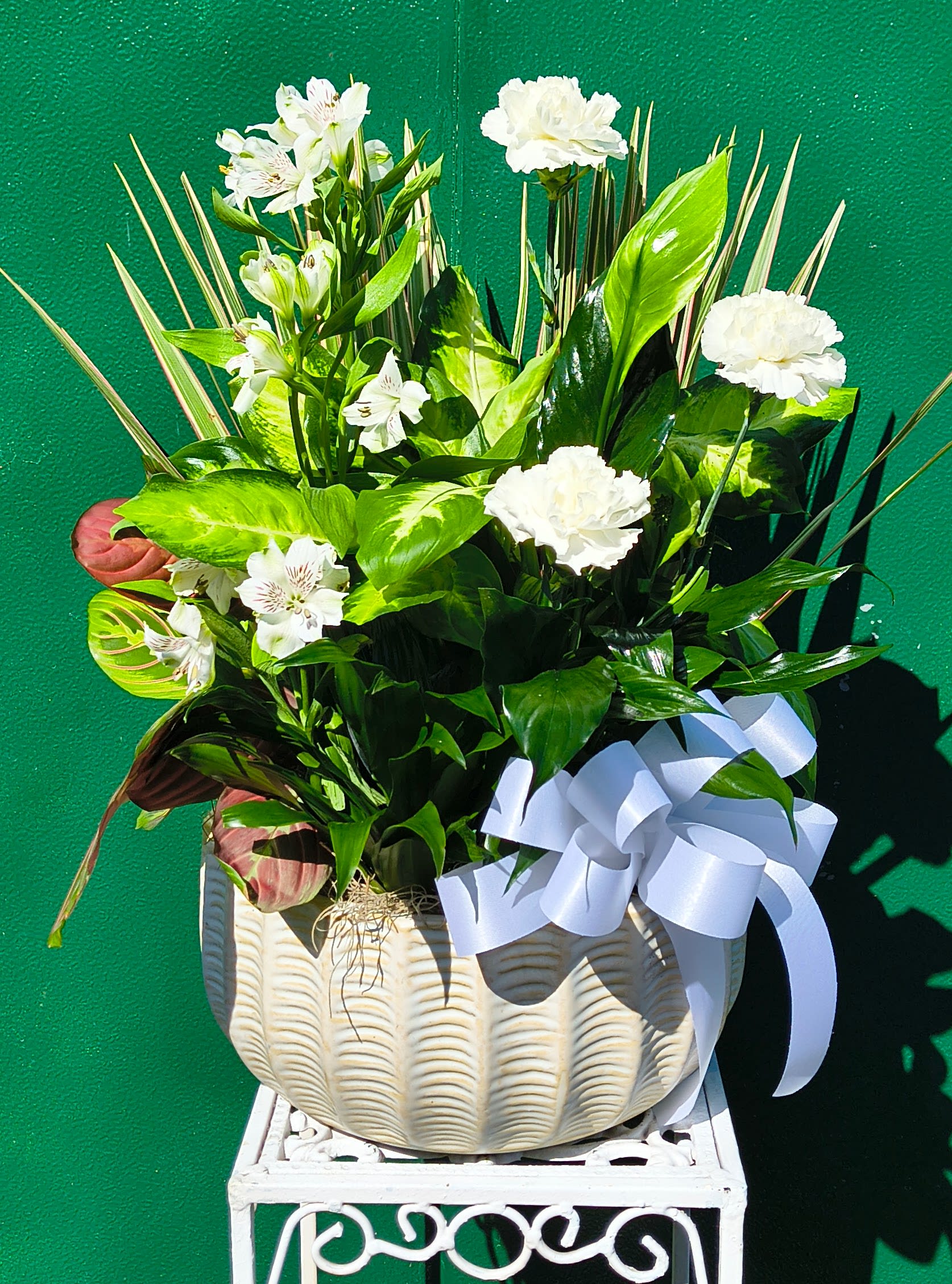 Large Ceramic Dish Garden