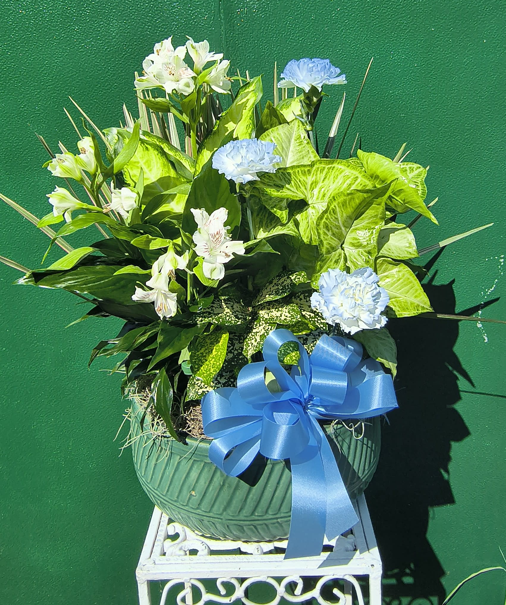 Blue And White Large Dish Garden