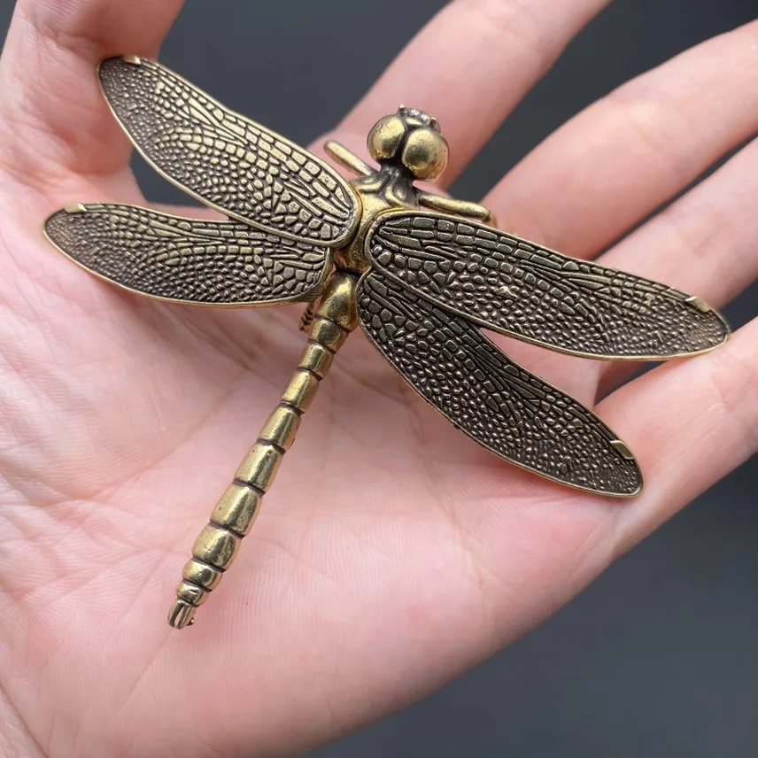 Dragon Fly Desk top