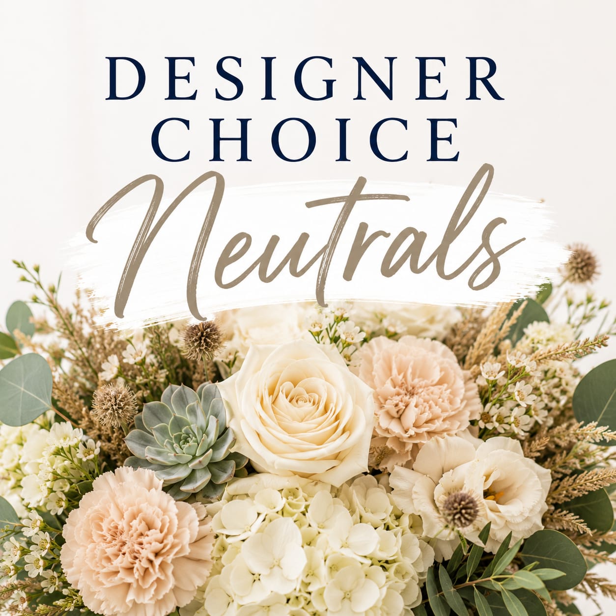 Designer's Choice Nueutrals