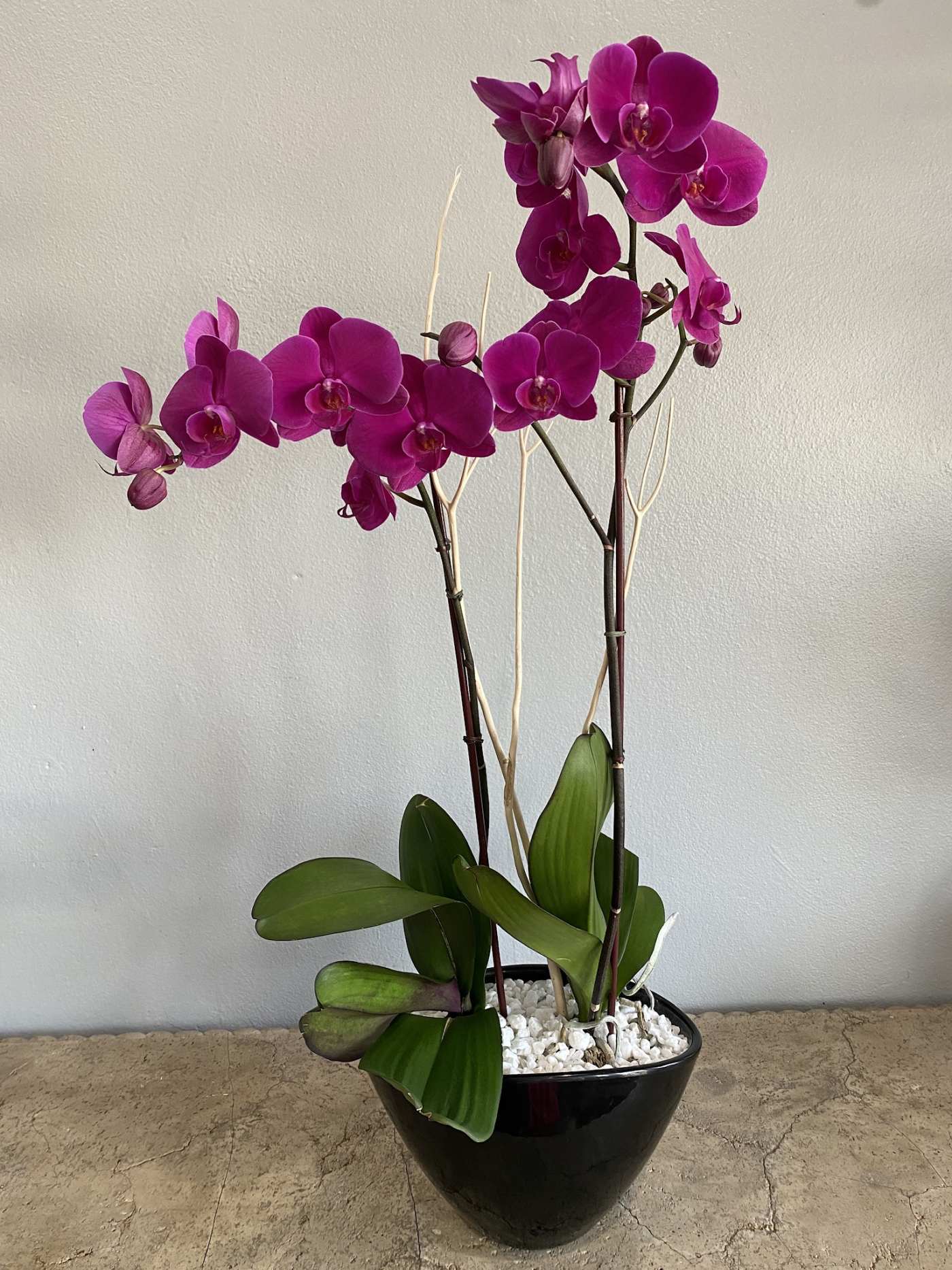 Purple Beauty Flower Bouquet