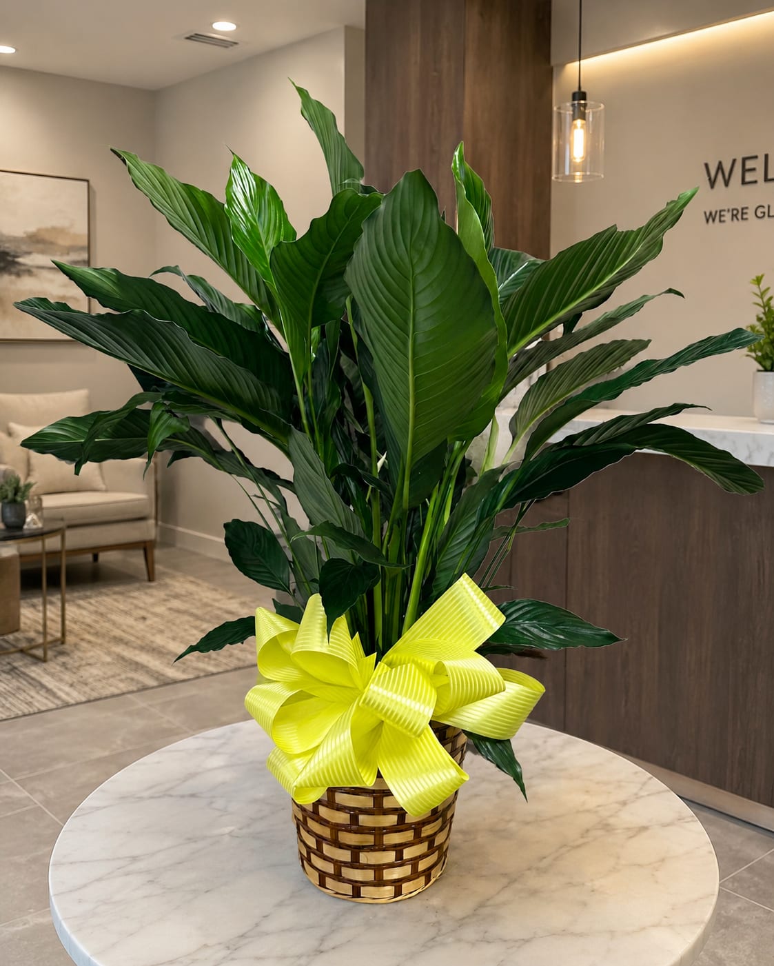PEACE LILY PLANT 8" POT