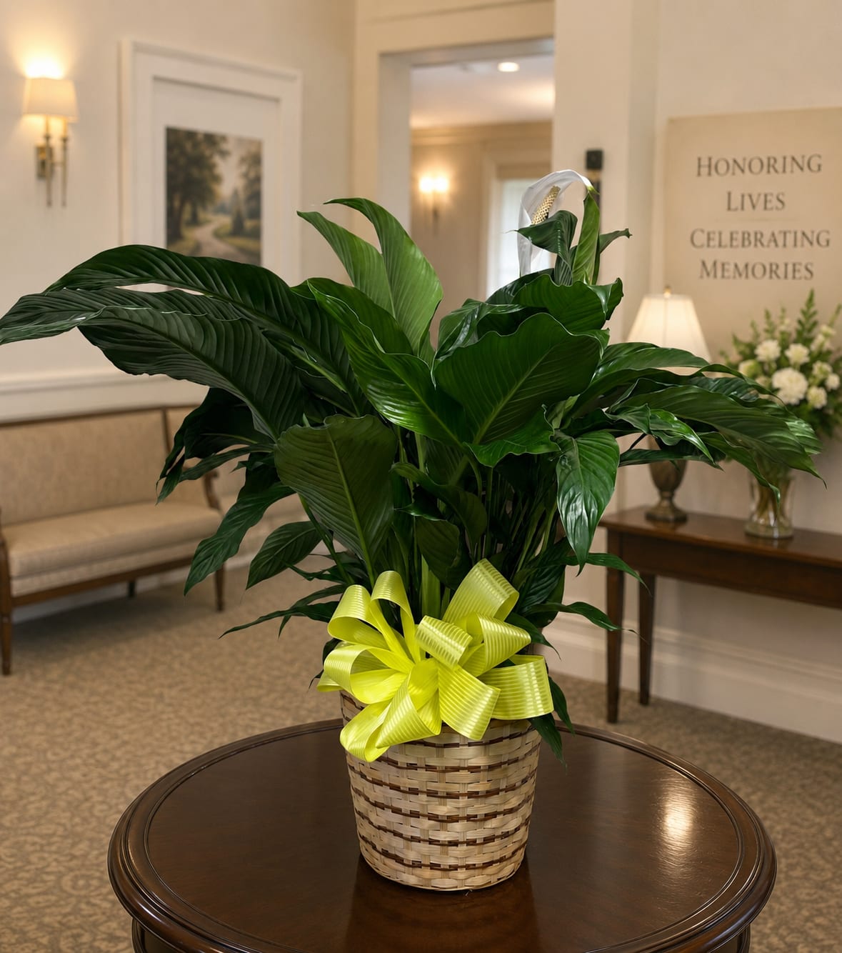 PEACE LILY PLANT 10" POT