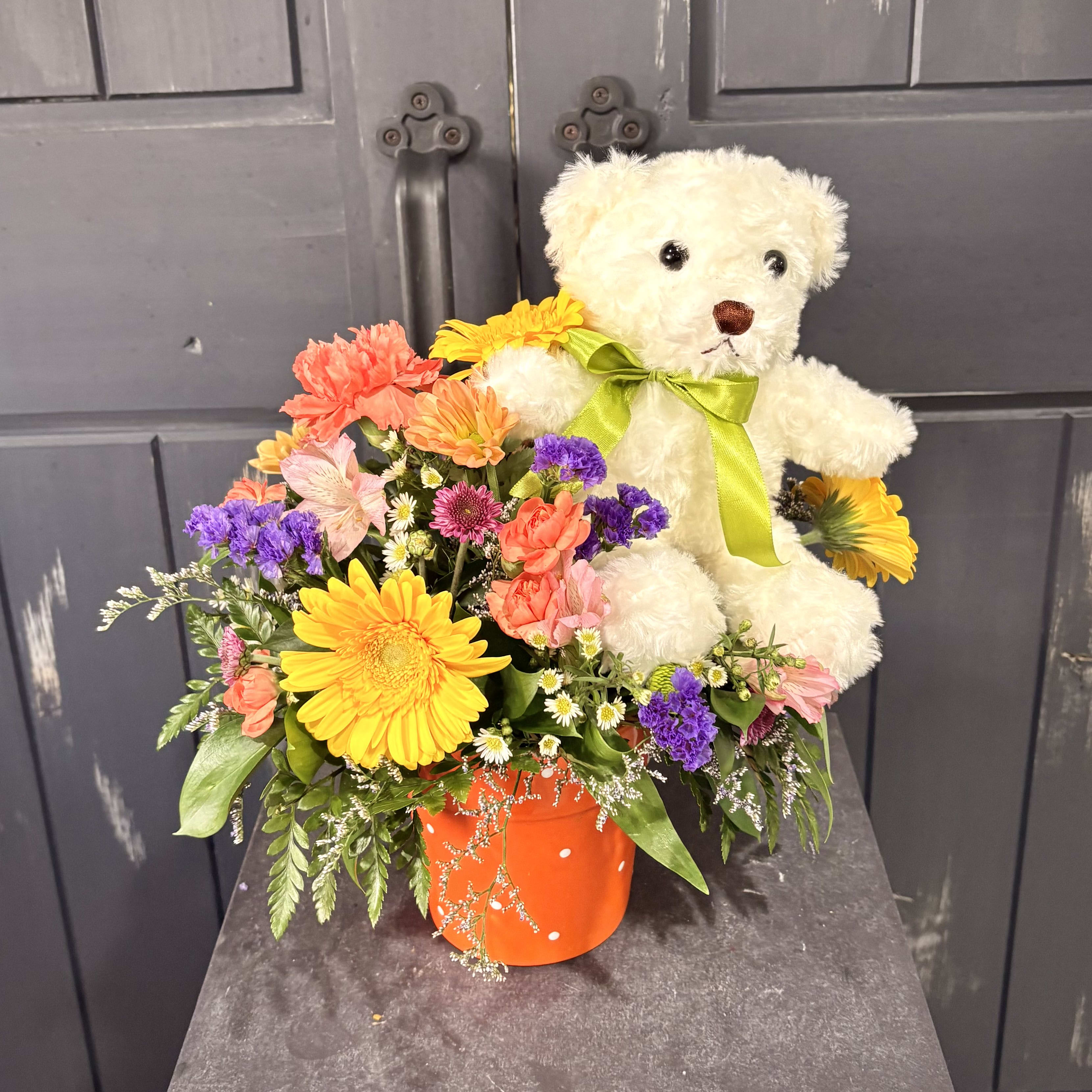 A Beary Happy Day