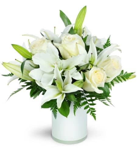 Sympathy and Funeral
