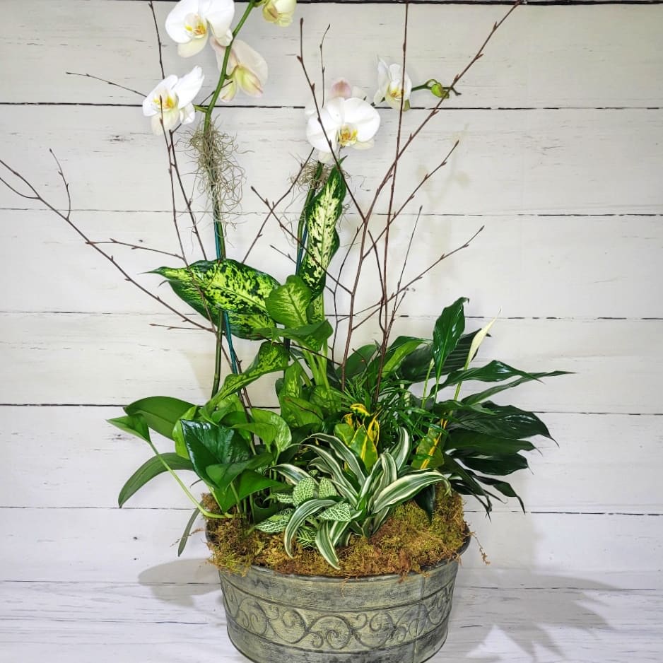 DISH GARDEN WITH ORCHID