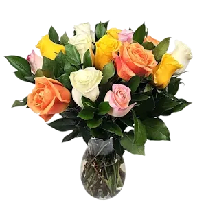 Dz Roses Mixed (COLORS VARY) Medium Stem Summer Special Flower Bouquet