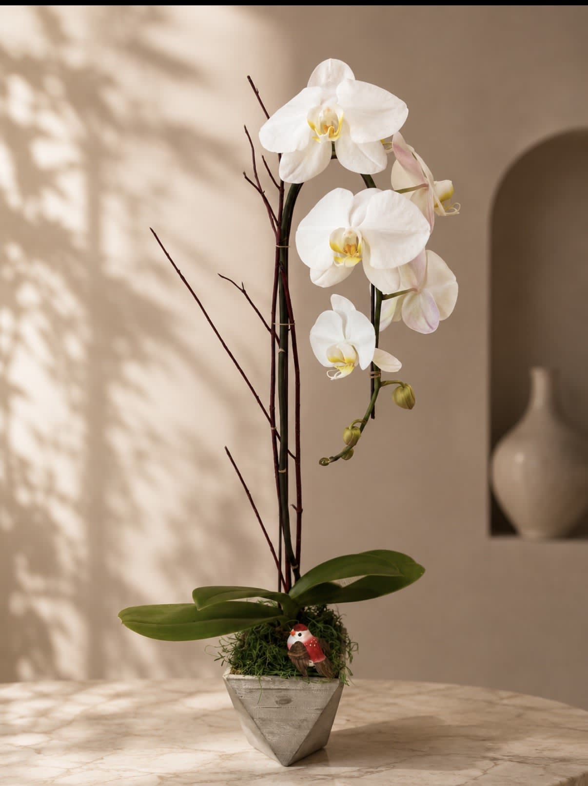Cascading White Orchid in a Wooden Container.