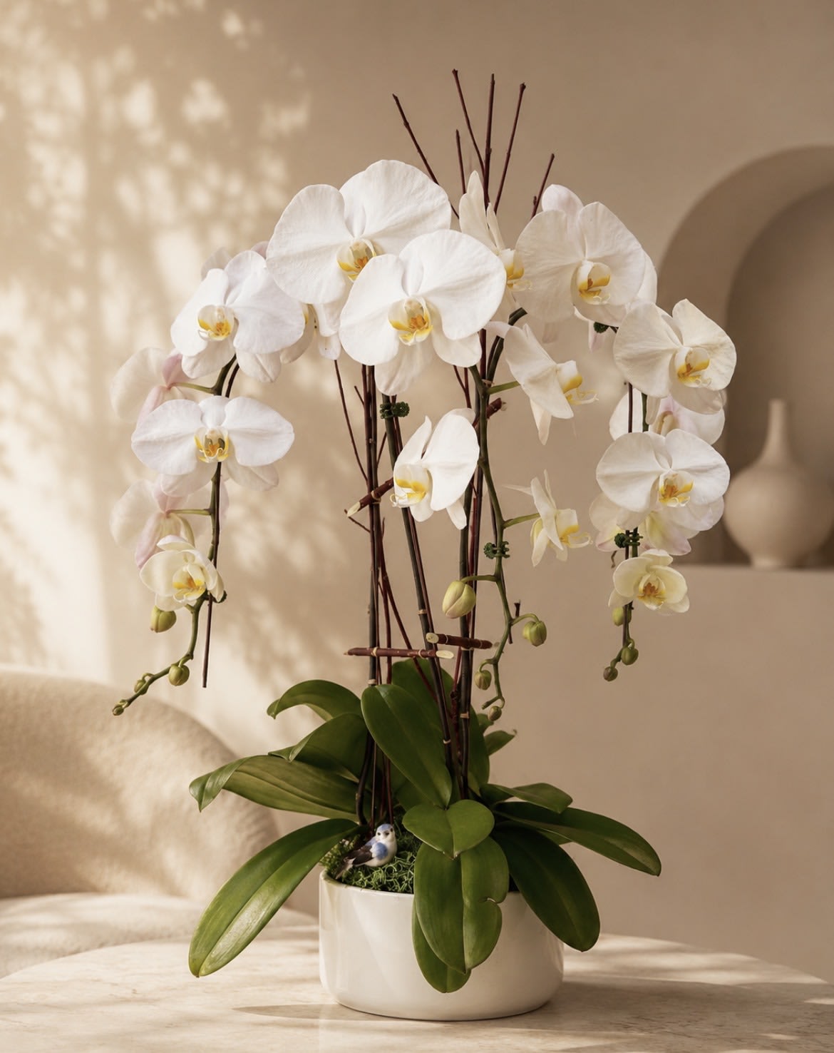 Three Cascading White Orchids in a Ceramic Bowl