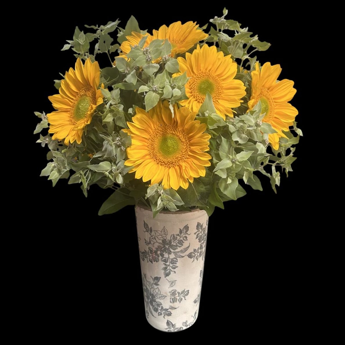 Sunflower Fields Display
