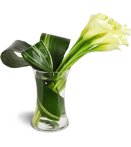 Classic Elegance Calla Vase™ Flower Bouquet