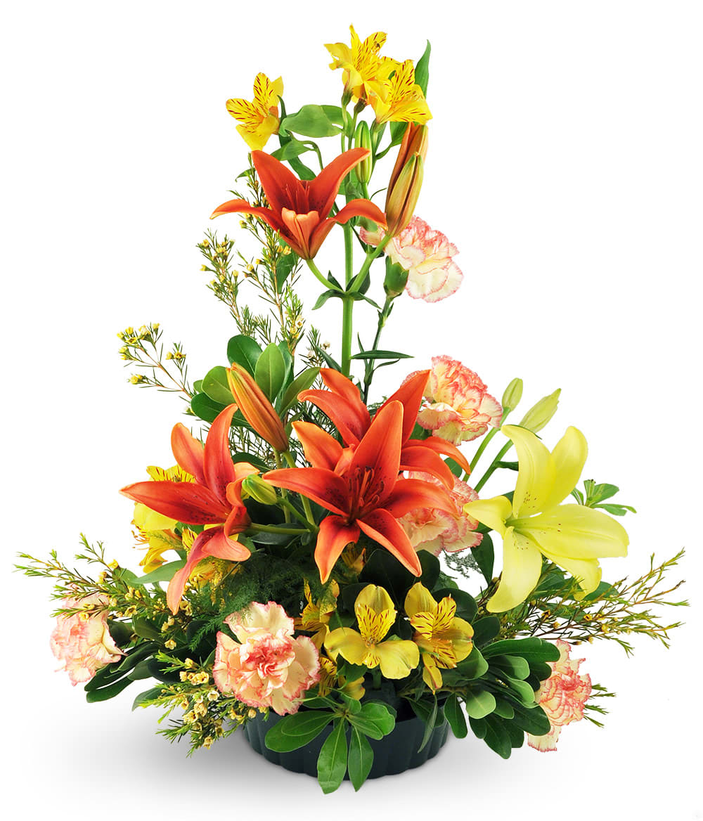 Among The Stars Flower Bouquet