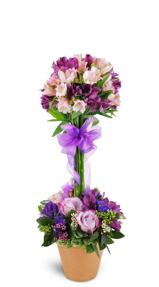 Elegant Embrace™ Topiary