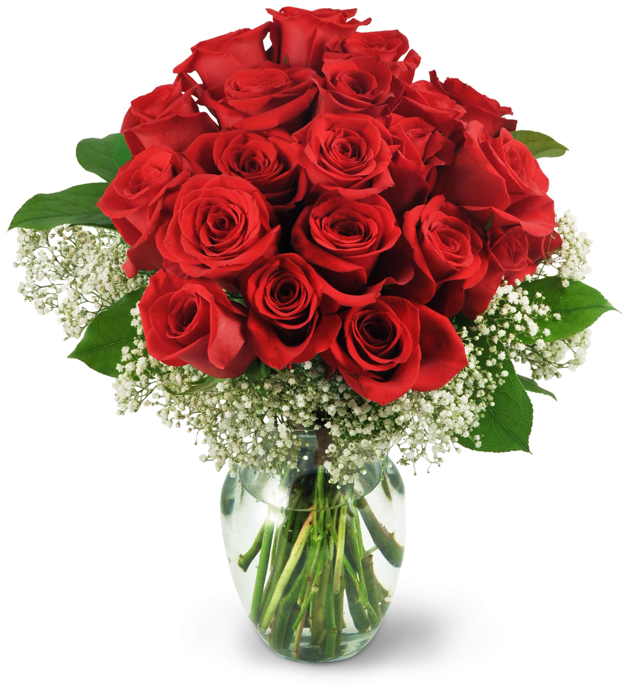 Two Dozen Red Roses Flower Bouquet