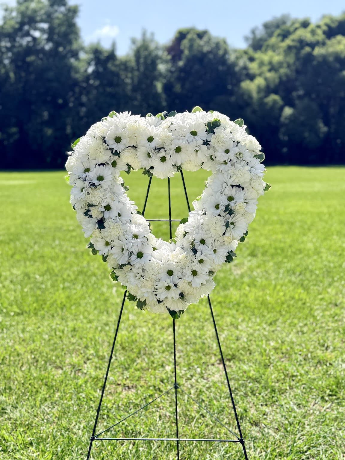 Timeless Heart