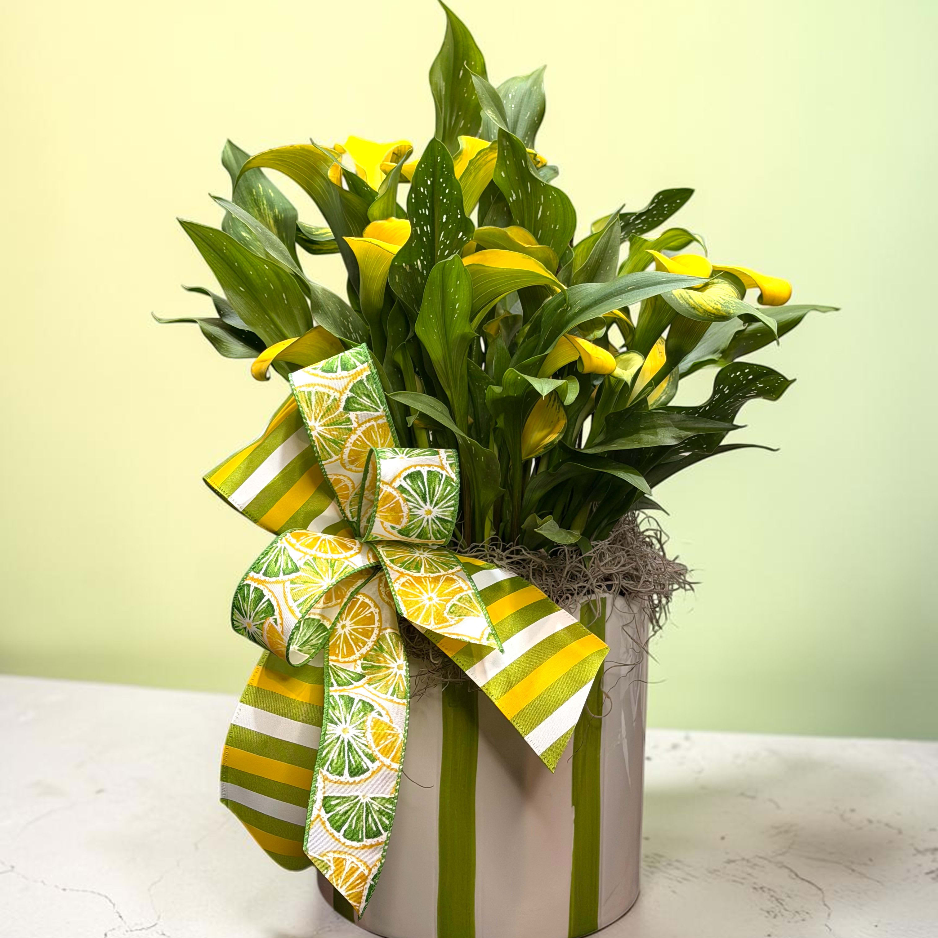 Calla Lily Plant Flower Bouquet