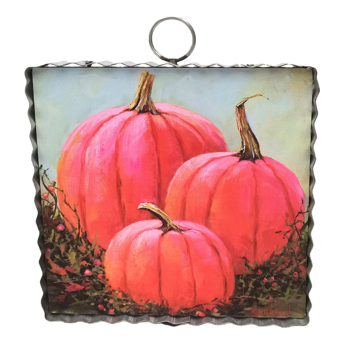 Mini Pink Pumpkin Patch