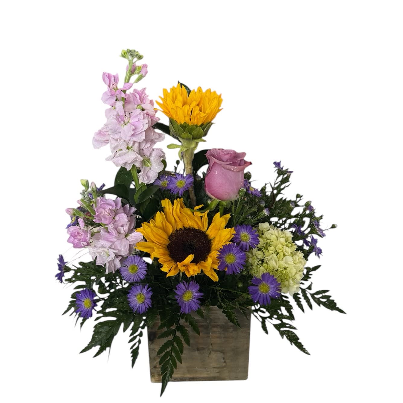 Sunflowers & More