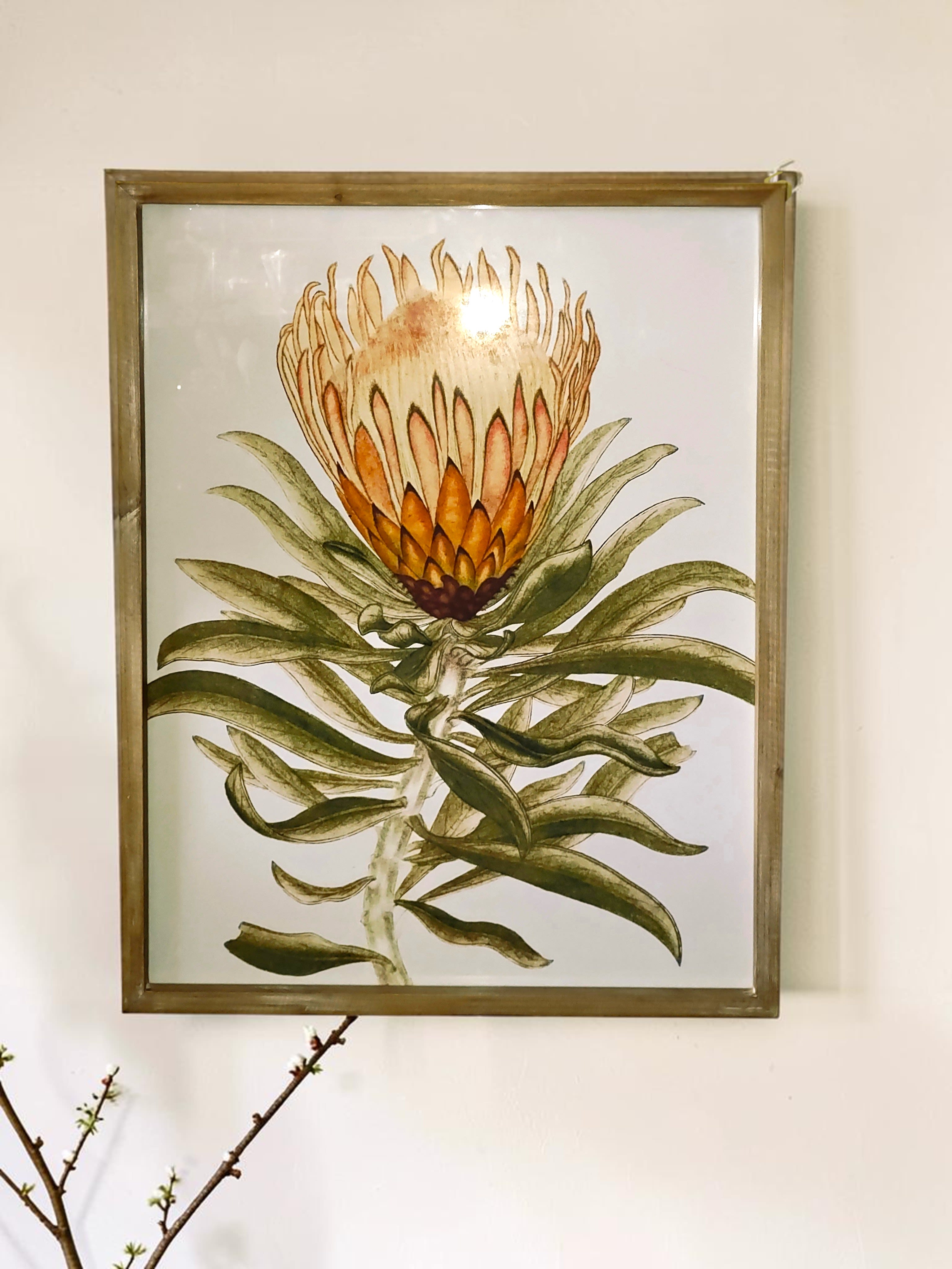 Protea Prints Flower Bouquet