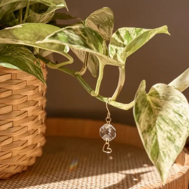 Meraki Plant Charm