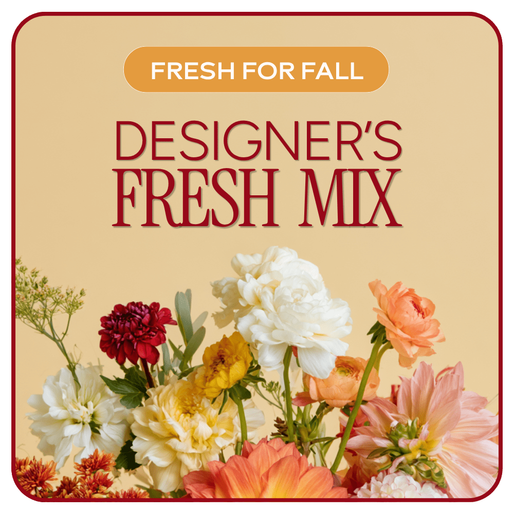 Designer's Choice Fall Design