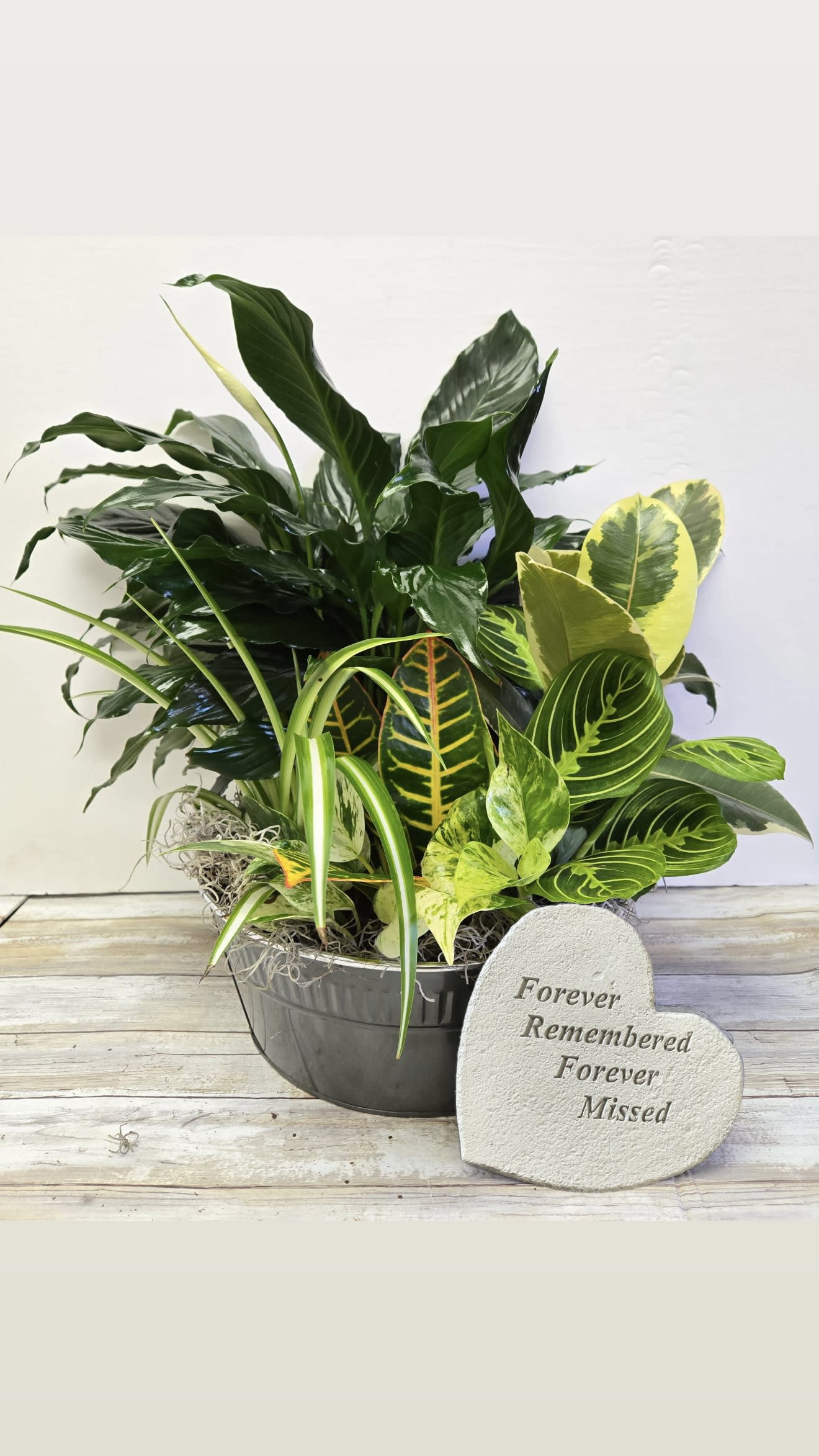 12 Inch Sunny Dish Garden with Stone