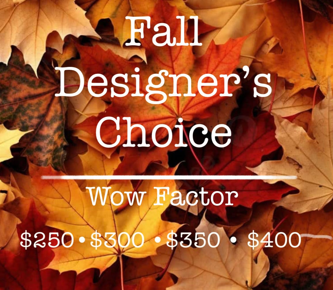 Fall Designer's Choice Wow Factor