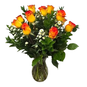 Dz. High and Magic Premium Roses