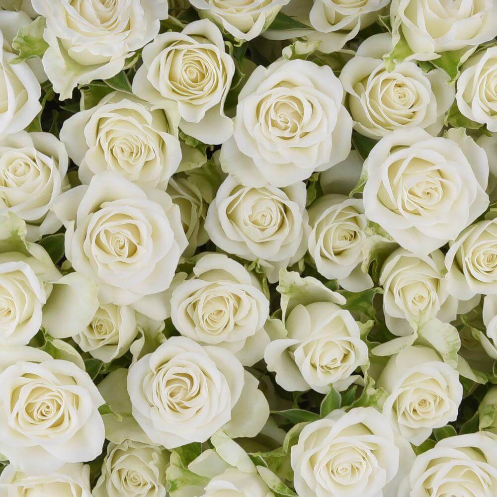 Spray Roses Flower Bouquet