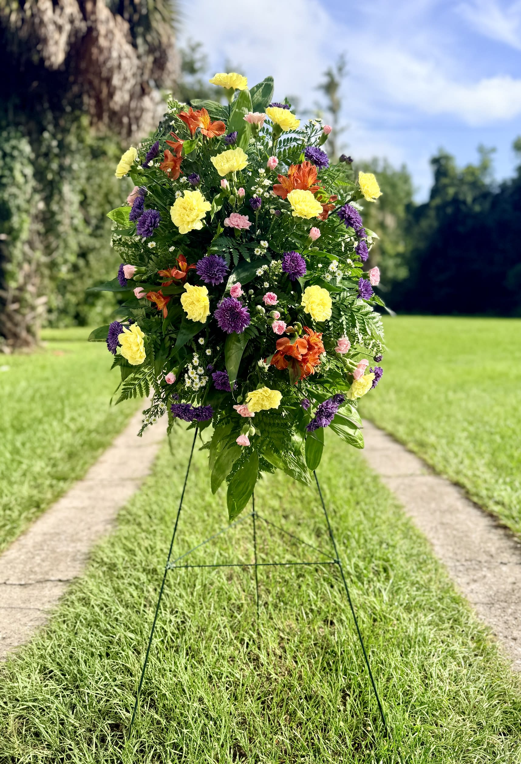 Celebration of Color