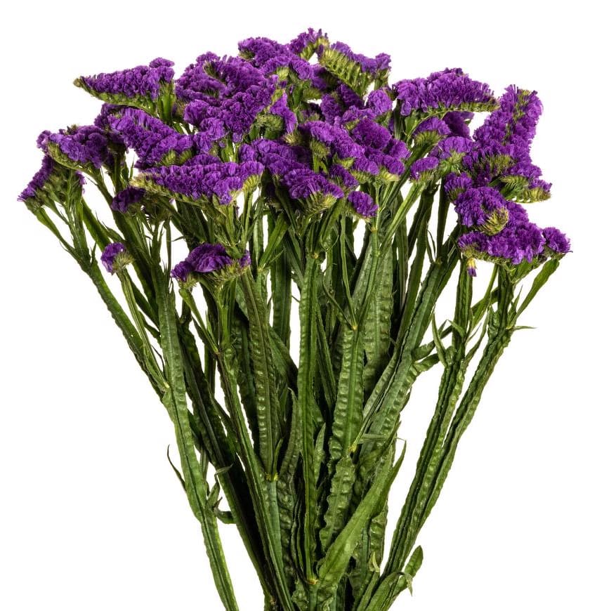 Statice Flower Bouquet