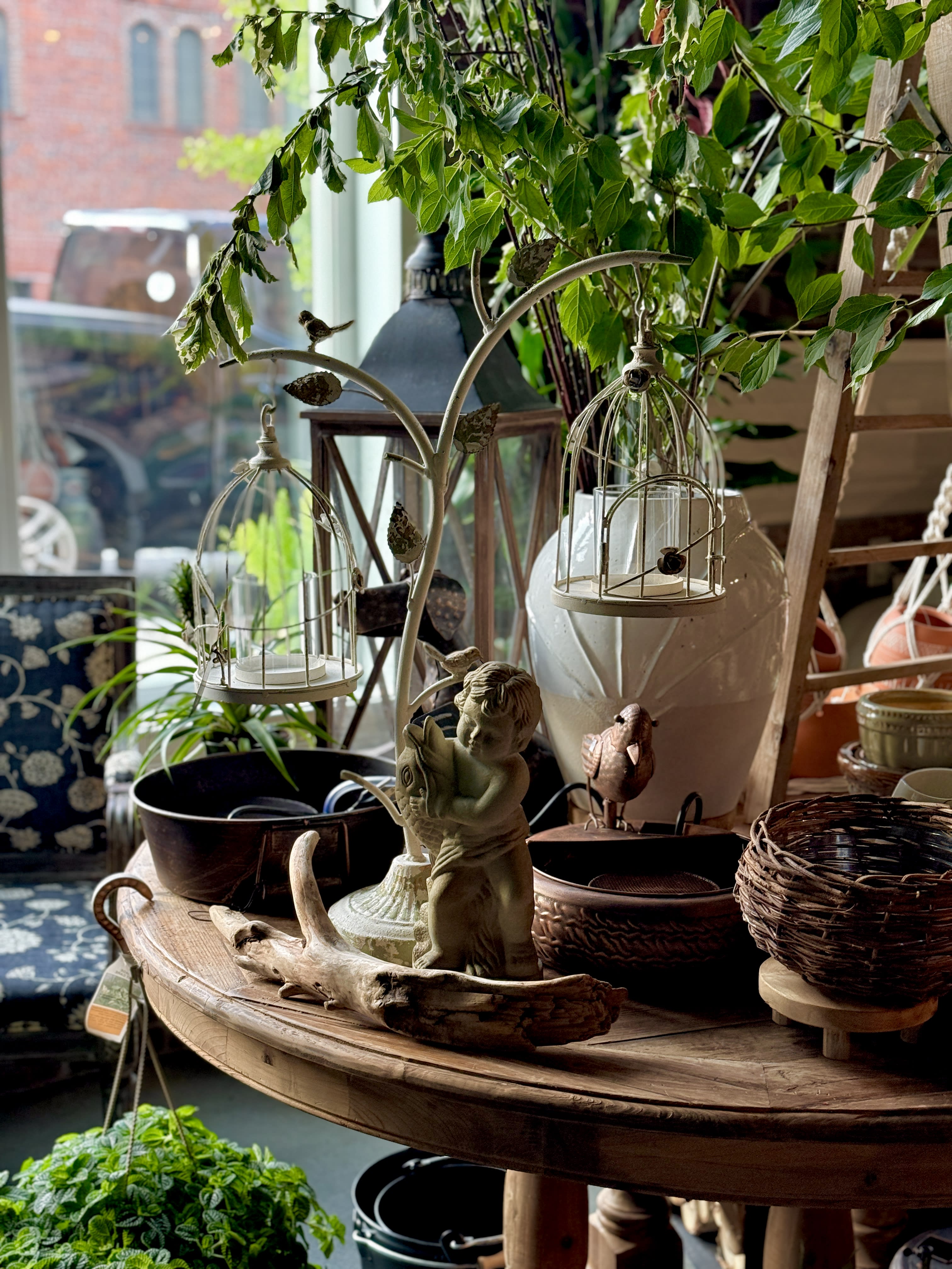 Home & Garden 