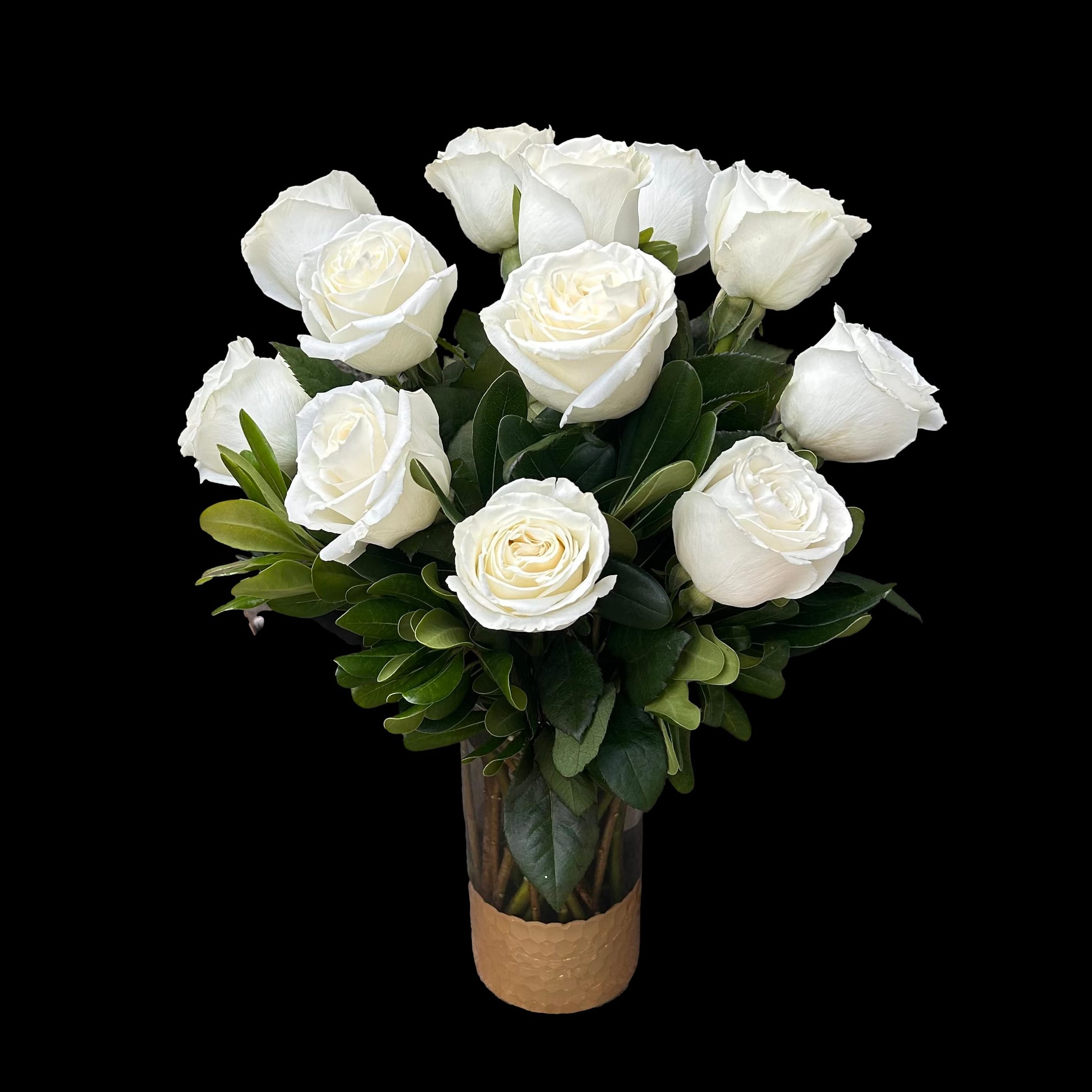 A Dozen Elegant Roses