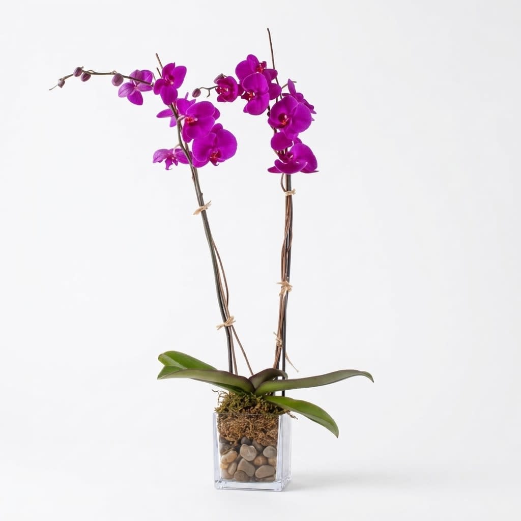 Elegant Purple Orchid Flower Bouquet
