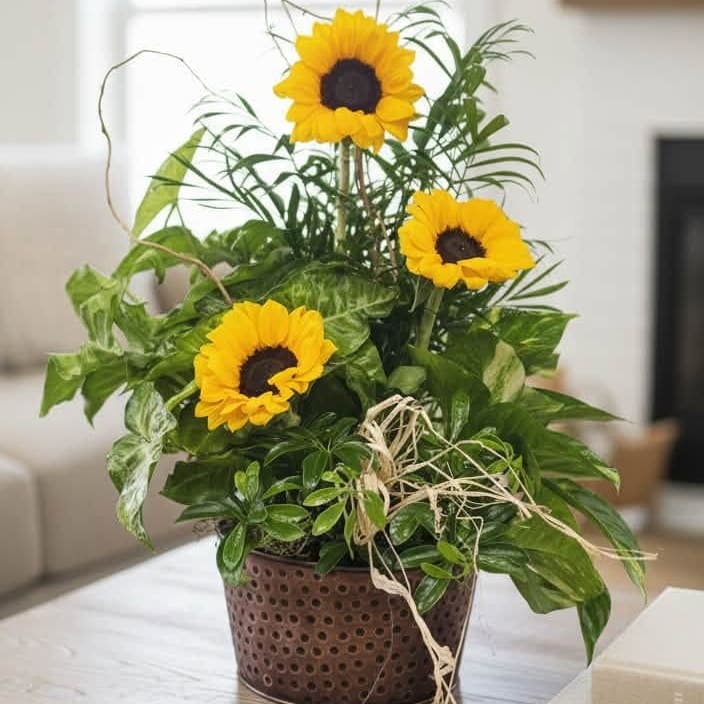 Sunny Dish Garden