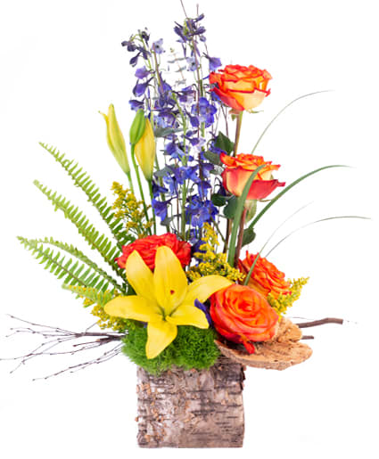 Rustic Roses
