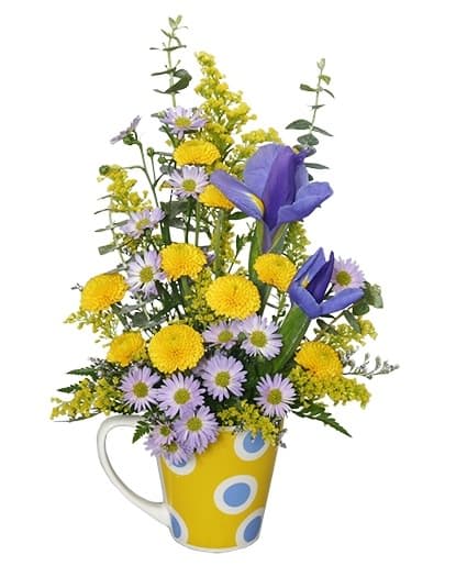Cup O' Cheer