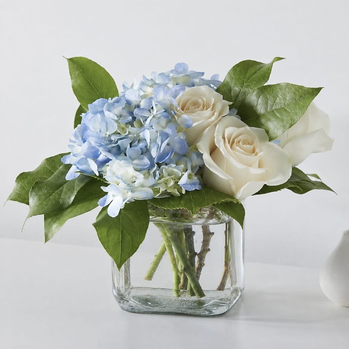 Sky Blue Delight